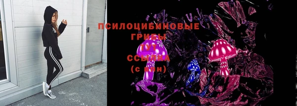 гашик Куйбышев