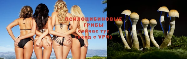 гашик Куйбышев
