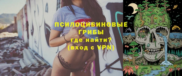 гашик Куйбышев