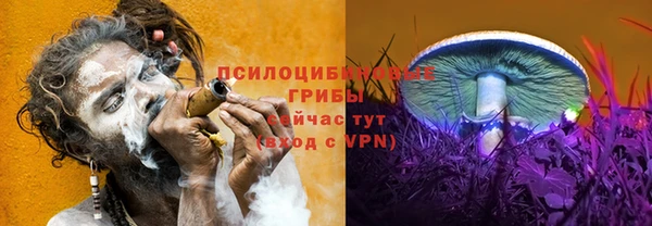 кокс Кукмор